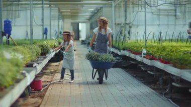 El arabasıyla konuşan sevimli anne. Komik kız çiçekleri. Yaz yeşili ailede serada gülümsüyor.