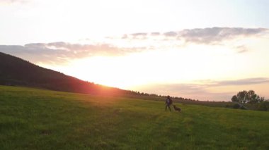 Sinematik gün batımı. Seyahat manzarası. Dağlarda köpeğini gezdiren mutlu genç bir kadının hava fotoğrafı. Eğlenceli aile seyahati. Yaz sezonu. Turizm, duygu ve sevinç kavramı.