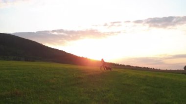 Güzel doğa. Tepelerin ardında günbatımı. Genç mutlu kadın gezgin dağlarda köpeğini gezdiriyor. Aile seyahati. Yaz tatili.