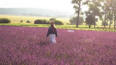 Mor çiçeklerin arasında yürüyen ve doğaya hayran olan zarif elbiseli muhteşem genç kadın. Lavanta tarlası. Romantik tatil. Yaz zamanı..