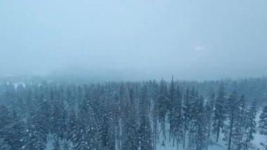 Kış manzarasının havadan çekilmiş güzel görüntüleri. Buzlu kar kaplı kayak yamaçları, köknar ağaçları ve kar yağışı. Kar fırtınası. Soğuk mevsim. Noel zamanı. İlham.