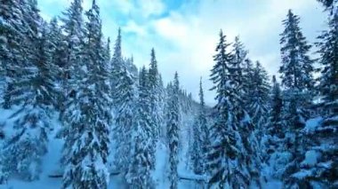FPV, kış kırsal ve ormanın çarpıcı görüntüleri. Karla kaplı donmuş odun ve dağlar. Parlak güneşli bir gün. İlham verici doğa..