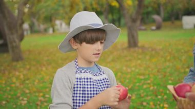 Dedesi şapkalı, bahçede elma toplayan sevimli bir çocuk. Çocukluk, yemek, köy. Doğal, tarım. Gün ışığında. Yavaş çekim