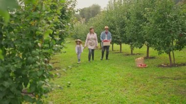 Büyükannesiyle büyükbabasını, sevimli torunuyla birlikte bahçede kırmızı elmalarla dolu bir sepetin içinde yaklaş. Çocukluk, yemek, köy. Gün ışığında. Yavaş çekim