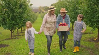 Şirin, mutlu, gülümseyen büyük anne ve büyük babası ve sevimli torunları bahçede yürüyen kırmızı elmalarla birlikte şapka ambarında. Çocukluk, yemek, köy. Gün ışığında. Yavaş çekim