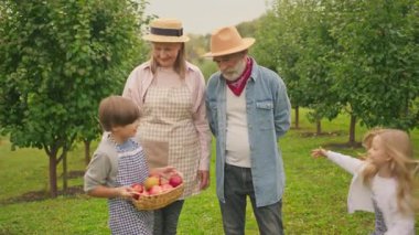 Güzel bir bahçede, büyük anne ve büyük babası ve güzel torunları şapka ambarında kırmızı elmalarla yürüme sepetini ayırıyorlar. Çocukluk, yemek, köy. Gün ışığında. Yavaş çekim
