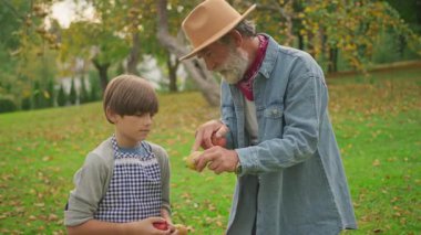 Dedesi şapkalı çocuk bahçede elma topluyor. Çocukluk, yemek, köy. Doğal, tarım. Gün ışığında. Yavaş çekim