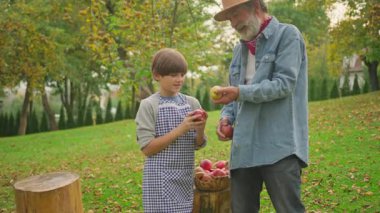 Bahçede elma toplayan şapkalı çocuk portresi. Çocukluk, yemek, köy. Doğal, tarım. Gün ışığında. Yavaş çekim