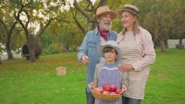 Neşeli kıdemli Kafkas çift ve küçük torun birlikte vakit geçiriyorlar, konuşuyorlar. Kırmızı elmalarla dolu sepeti tutan ve meyve bahçesindeki kameraya bakan hoş çocuk. Sonbahar geldi. Elmalı ağaçlar.