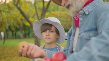 Büyükbabam ve küçük torunum sonbaharda bahçede. Gri sakallı yaşlı adam olgun elmalar gösteriyor. Dikkatsizce dinleyen tatlı çocuk. Kırsal kesimde tatiller. Bulanık arka planda elmalı dallar. Açık havada..
