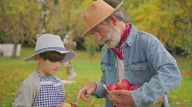 Şapkalı ve kot gömlekli yaşlı bir adam elinde sepet dolusu elmayla torununa bahçeyle nasıl ilgilendiğini anlatıyor. Elmalı çocuk büyükbabayı dinliyor. Sonbaharda meyve bahçesi.