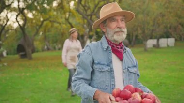 Gri sakallı ve elinde elma sepeti olan yaşlı bir adamın görüntüsü. Kameraya bakan sakallı yaşlı adamın portresi. Kadın ve çocukla bahçenin arka planı bulanık. Açık havada..