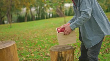 Ahşap bir kutu elma taşıyan yaşlı adamın yakın çekim görüntüleri. Mavi kot gömlekli torun ve büyükbaba elma istifliyor. Büyükanne ve torun bir tabak elma taşıyor. Hasattan sonra aile. Açık havada..