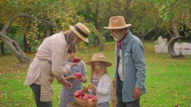 Büyük anne ve büyük baba ve torunlar boş zaman konsepti. Kıdemli adam, kadın ve çocuklar meyve bahçesindeki hasattan sonra tahta kutuda kırmızı elmalara bakıyorlar. Organik meyveler. Çok nesildir aile parkta eğleniyor..
