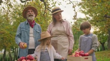 Mutlu bir aile meyve bahçesinde birbirleriyle konuşarak vakit geçiriyor. Küçük çocuk ve kız, sonbahar zamanı elma ağacından elma toplamada ve toplamada büyük anne ve büyük babaya yardım ediyor. Sonbaharda çiftlik.
