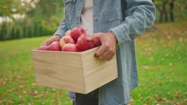 Gri sakallı yaşlı adamın, bahçenin ortasına tahta kutu dolusu kırmızı elma taşıyıp kütüğe koyduğu yakın çekim. Torunlar büyükbabaya sarılıyor. Büyükanne meyve sepeti koyuyor..