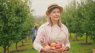 Bahçede elmaları olan tatlı bir son sınıf öğrencisi. Hasat konsepti. Ahşap kutu tutan ve kameraya gülümseyen mutlu kadın bahçıvan. Sonbaharda meyve hasadı. Geçmişi bulanık torunlar ve kocalar. Açık havada..