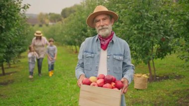 Sakallı yaşlı çiftçi bahçede kırmızı lezzetli elmalarla dolu sepeti tutuyor. Gri saçlı bir adam kameraya bakıyor ve hasat gösteriyor. Çiftçi şapkası takan bahçıvan. Ailenin bulanık geçmişi.