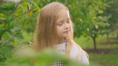 Beyaz tenli, güzel, sarı saçlı bir kızın, parkın arka planındaki kameraya doğrudan baktığı yakın çekim görüntüleri. Yeşil ağacın yanında duran sevimli kadının portresi. Doğal güzellik. Açık havada, yaz zamanı..