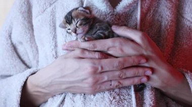 Kadınların kollarında uyuyan sevimli bir kedi yavrusu. Kedileri severim. Evcil hayvanlar ve insan ilişkileri ve güveni.