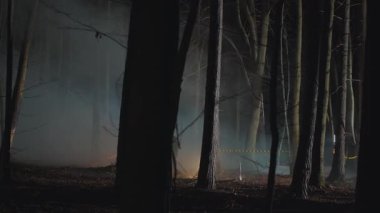 İki dedektif gece ormanda suç mahallinde çalışıyor. El fenerleri olan genç adamlar kanıt arıyorlar. Cinayet soruşturması. Siluet, sonbahar. Ağaçlar, boş odun. Açık hava.