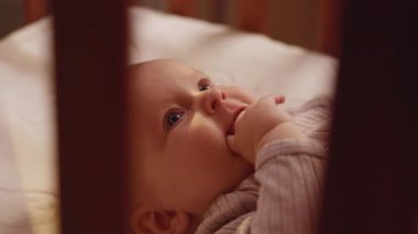 Beşiğinde uyanık bir şekilde uzanmış, parmağını ağzına sokmuş, mutlu bir yüz ifadesiyle anneye bakan tatlı bir çocuğun üst görünüm portresi. Güzel, huzurlu bir bebek. Eve, rahatla.