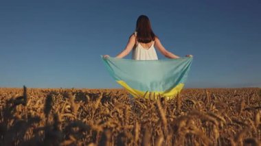 Ulusal bayrağı buğday tarlasında mavi ve sarı tutan Ukraynalı bir kadını vurdu. Güneş ışığı var. Hasat. Ukrayna, bağımsızlık, özgürlük. Vatanseverlik sembolü, savaşta zafer. Yavaş çekim