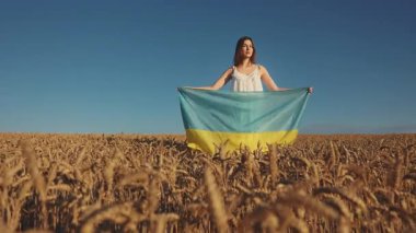 Buğday tarlasında ulusal bayrağı olan genç bir Ukraynalı kadının fantastik manzarası. Güneş ışığı var. Hasat. Ukrayna, bağımsızlık, özgürlük. Vatanseverlik sembolü, savaşta zafer. Yavaş çekim