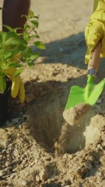 Canlı bir bahçıvanlık sahnesi, tohum eken birini gösteriyor. Bir kürek ve eldivenle, neşe içinde doğayla bağ kuruyor.