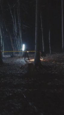 Issız bir kamp ateşi, karanlık ve gizemli bir ormanda sıcacık bir şekilde parıldıyor. Ay ışığı altında güzelce aydınlatılıyor.