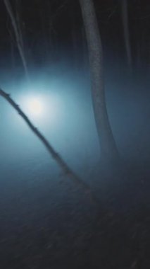 Ormanın derinliklerinde sisli bir gecede büyüleyici bir ışık kıvrımlı sisi delip geçer.