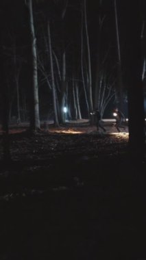 Karanlık ve esrarengiz bir orman sahnesi. Parlayan uzak ışıklarla aydınlatılıyor. Derin bir gizem hissi uyandırıyor.