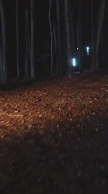 Huzurlu ama ürkütücü bir gece sahnesi ormanın derinliklerinde, uzak farların parıltısıyla aydınlatılmış.