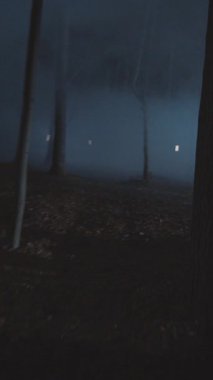 Karanlık, gölgeli bir ormanda perili bir alacakaranlık sahnesi, derin gizem ve belirsizlik hisleri uyandırır.