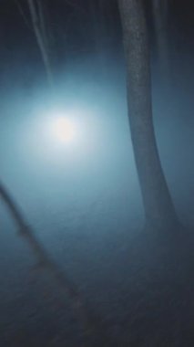 Akıllara durgunluk verecek kadar güzel ve gizemli sisli bir orman sahnesi. Uzaktan, yumuşak bir ışıkla aydınlatılmış.
