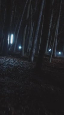 Akıllara durgunluk verecek kadar güzel, gizemli bir orman sahnesi yıldızlı bir gökyüzünün altındaki soluk ışıklarla hafifçe aydınlatılır.