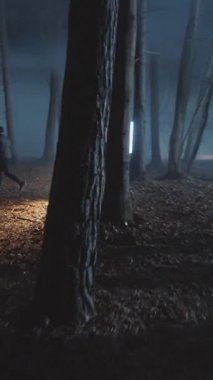 Karanlık ve gizemli bir orman büyüleyici ve ruhani bir ışıkla yıkanmış, güçlü bir gizem hissi uyandırıyor.