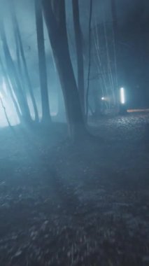 Yoğun sisle kaplanmış büyüleyici bir orman manzarası gizem ve büyü hissi uyandırıyor.