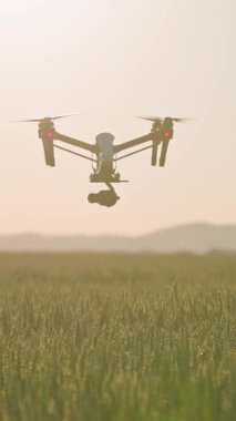 Yüksek teknolojili bir dron nefes kesen ve nefes kesen hava görüntülerini yakalar ve canlı yeşil bir alanın üzerinde pürüzsüzce süzülür.