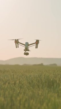İnsansız hava aracı, yumuşak altın ışıkta canlı tarlaların geniş görüntülerini yakalar, tarımsal yenilikler sergiler..