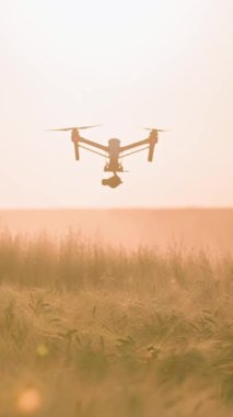 Engin altın tarlaların üzerinde zarif bir şekilde süzülen nefes kesici bir dron dingin ve renkli bir günbatımı zemininin altında