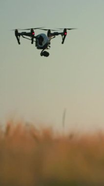 İnsansız hava aracı gün batımında altın bir arazide zarif bir şekilde uçar. Macera ve teknoloji teması için mükemmeldir..