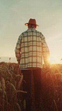 İnanılmaz güzel bir gün batımında engin bir buğday tarlasında zarif bir şekilde duran bir insanın çarpıcı silueti.