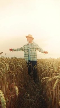 Nefes kesici bir gün batımında altın bir buğday tarlasında rahatça gezinen bir insan.