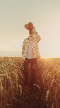 Engin altın buğday tarlalarının arasında zarif bir figür gün batımının sıcacık parıltısında güneşleniyor.