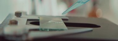 Bardaktaki sıvıyla çalışan bir bilim adamı, otomatik bir pipetle bir madde alıyor. İlaçlar. Biyoteknoloji.