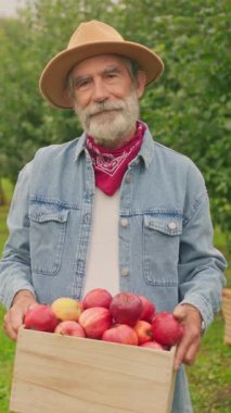 Sakallı yaşlı çiftçi bahçede kırmızı lezzetli elmalarla dolu sepeti tutuyor. Gri saçlı bir adam kameraya bakıyor ve hasat gösteriyor. Çiftçi şapkası takan bahçıvan. Ailenin bulanık geçmişi.
