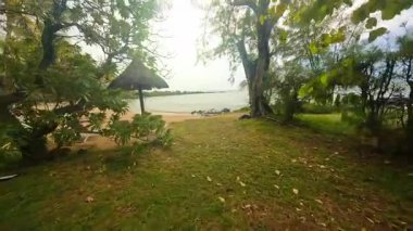 Bu videoda yeşil tarlalardan kumlu plajlara kadar sakin bir kıyı manzarası, sallanan ağaçlar ve sakin sularla sükuneti gözler önüne seriyor.