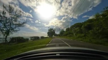 Sarı bir araba, yemyeşil ağaçlarla çevrili güneşli bir yolda ilerliyor. Güneş ışığı yaprakların arasından süzülür, sıcak bir parıltı yaratır ve doğanın barışçıl özünü yakalar.