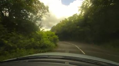 Doğada sakin bir yolculuk bir araba dolambaçlı bir yolda giderken, bereketli ağaçlarla çevrili, izleyicileri sakin manzarayı kucaklamaya davet ediyor.